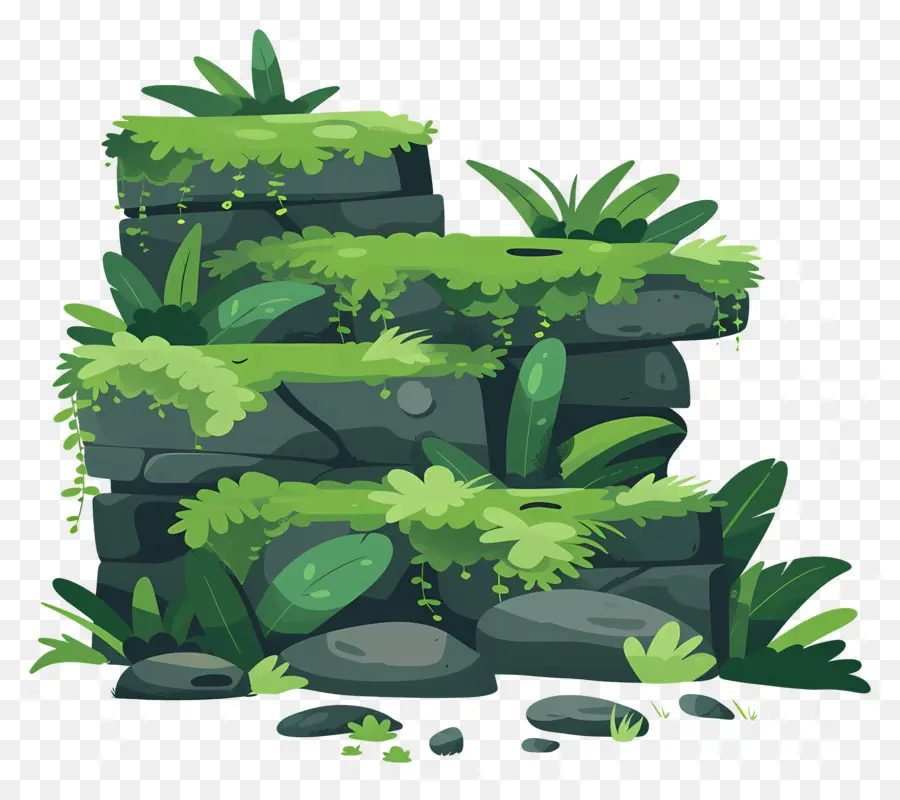 Mur De Mousse，Moss PNG