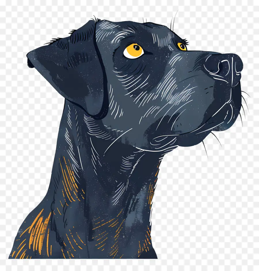 Chien，Portrait PNG