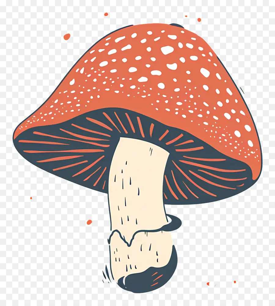 Champignons Fantastiques，Champignons PNG