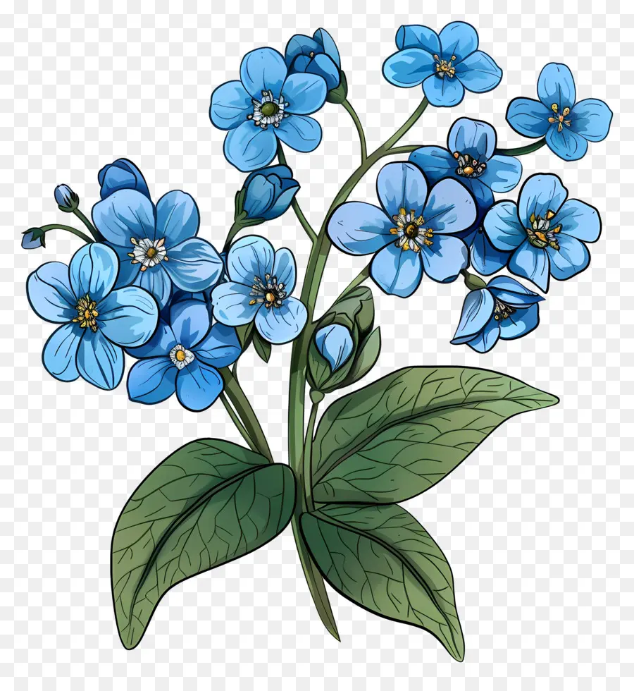 Fleurs Bleues，M'oublie Pas De Fleurs PNG