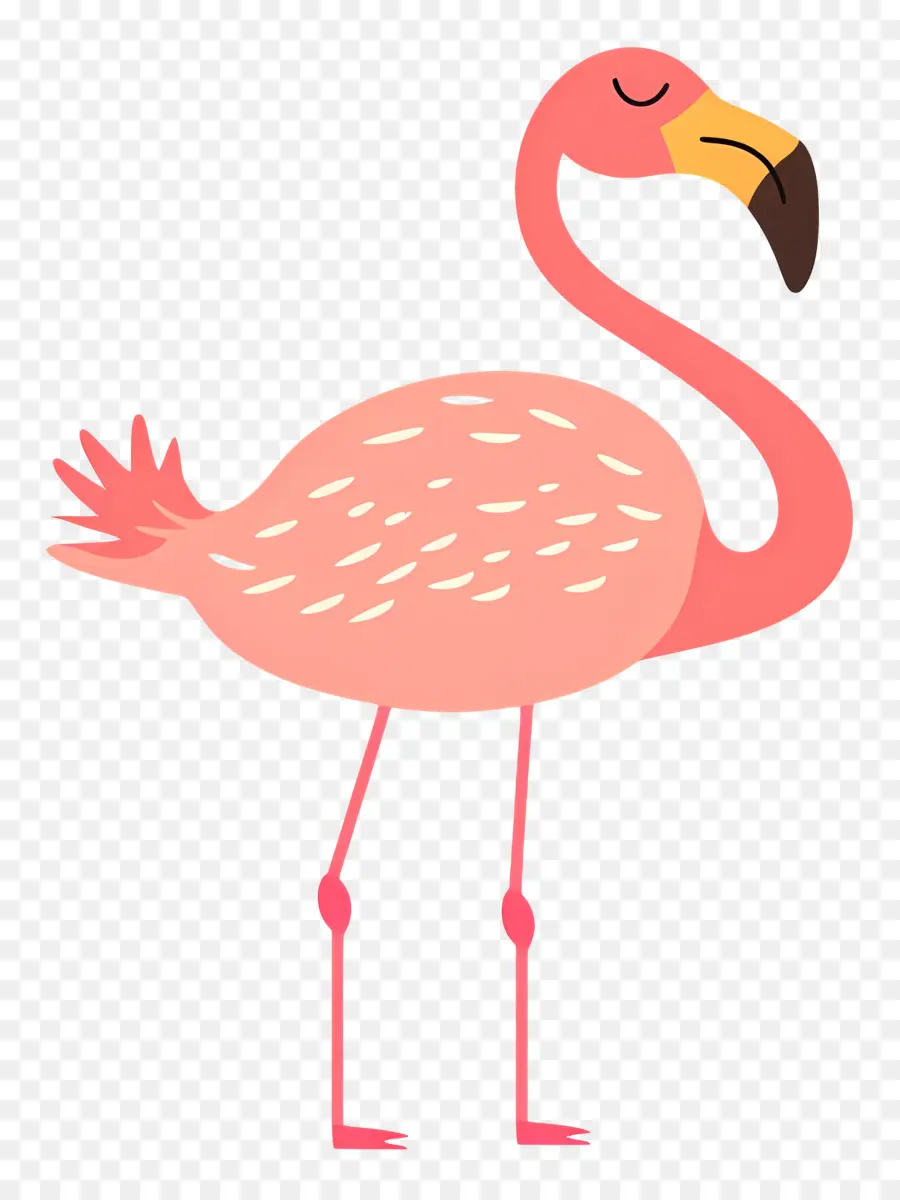 Flamingo，Flamant Rose PNG