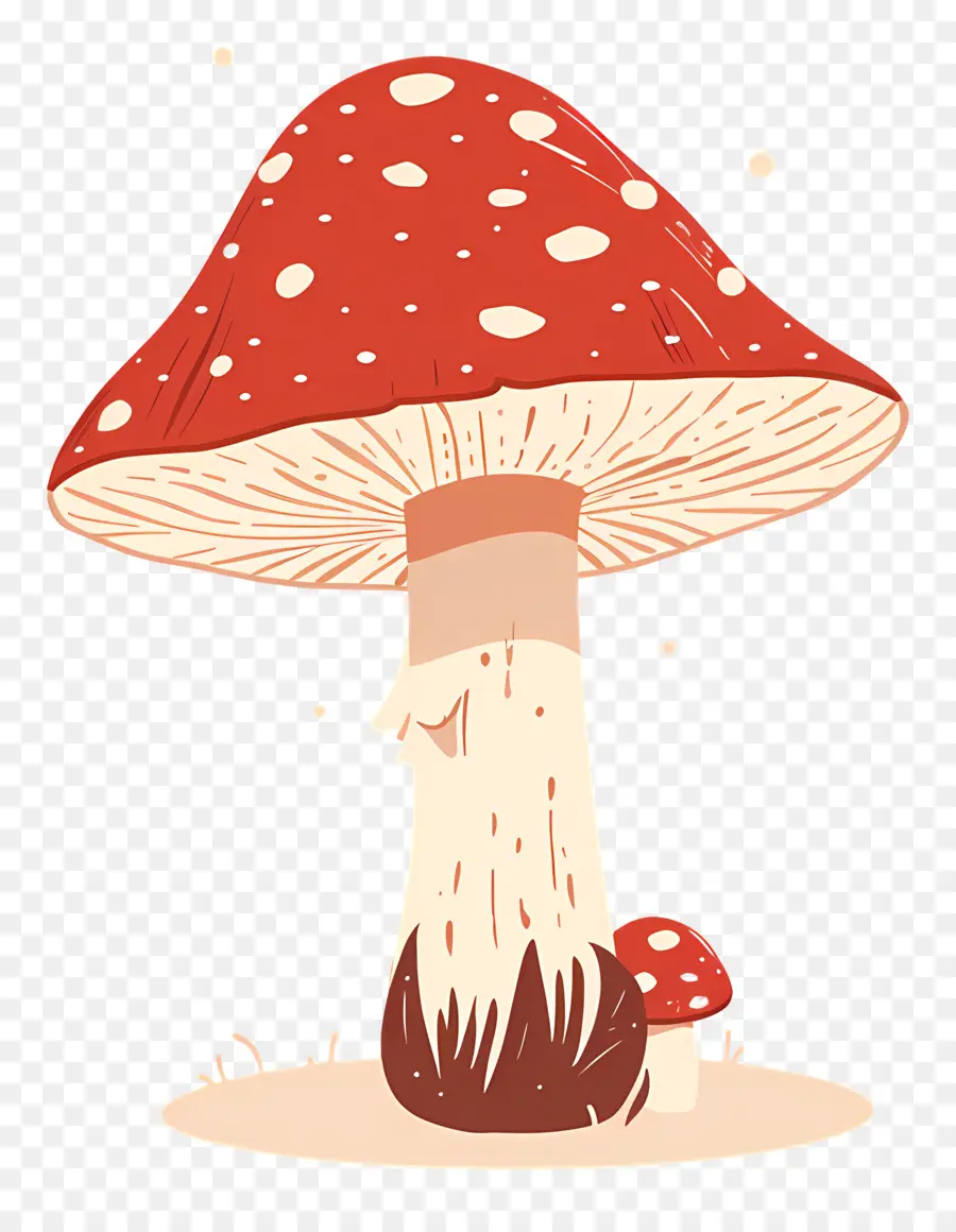 Champignons Fantastiques，Champignons PNG