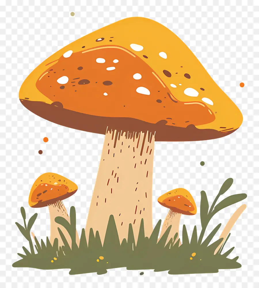 Champignons Fantastiques，Dessin Animé Dessin PNG