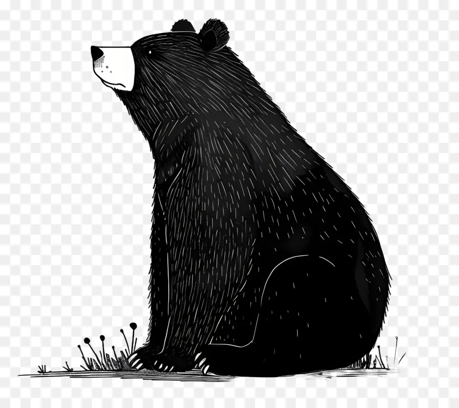 Ours De Bande Dessinée，L'ours Noir PNG