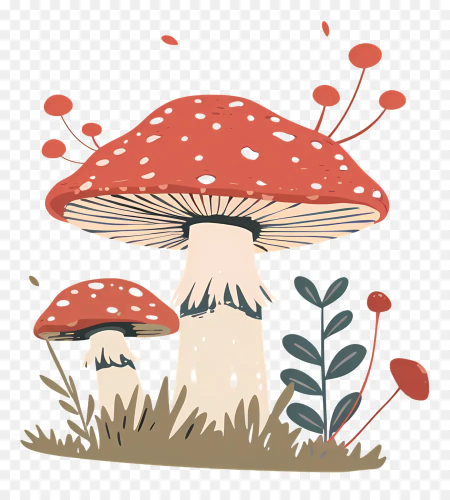 Champignons Fantastiques，Champignons PNG