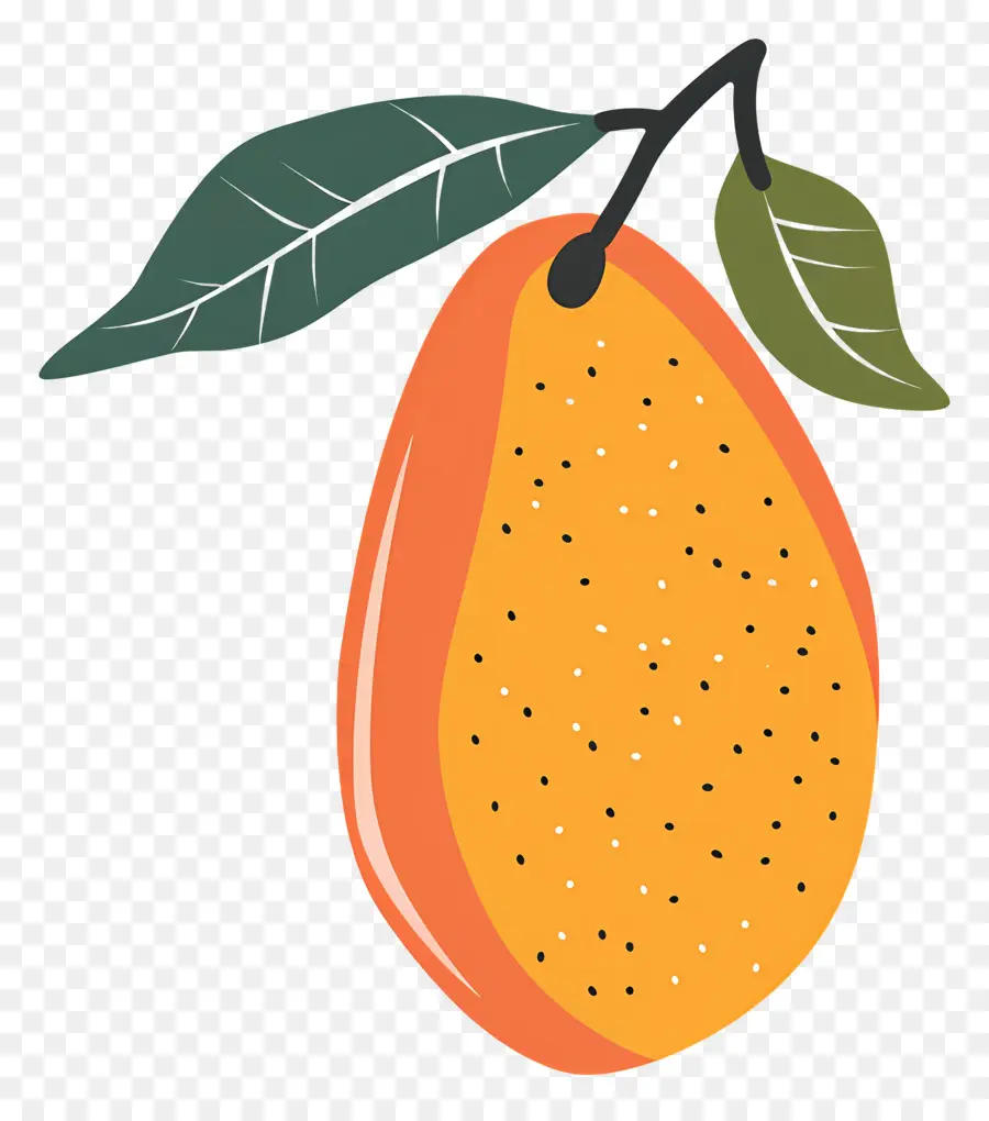 La Mangue，Fruits Orange PNG