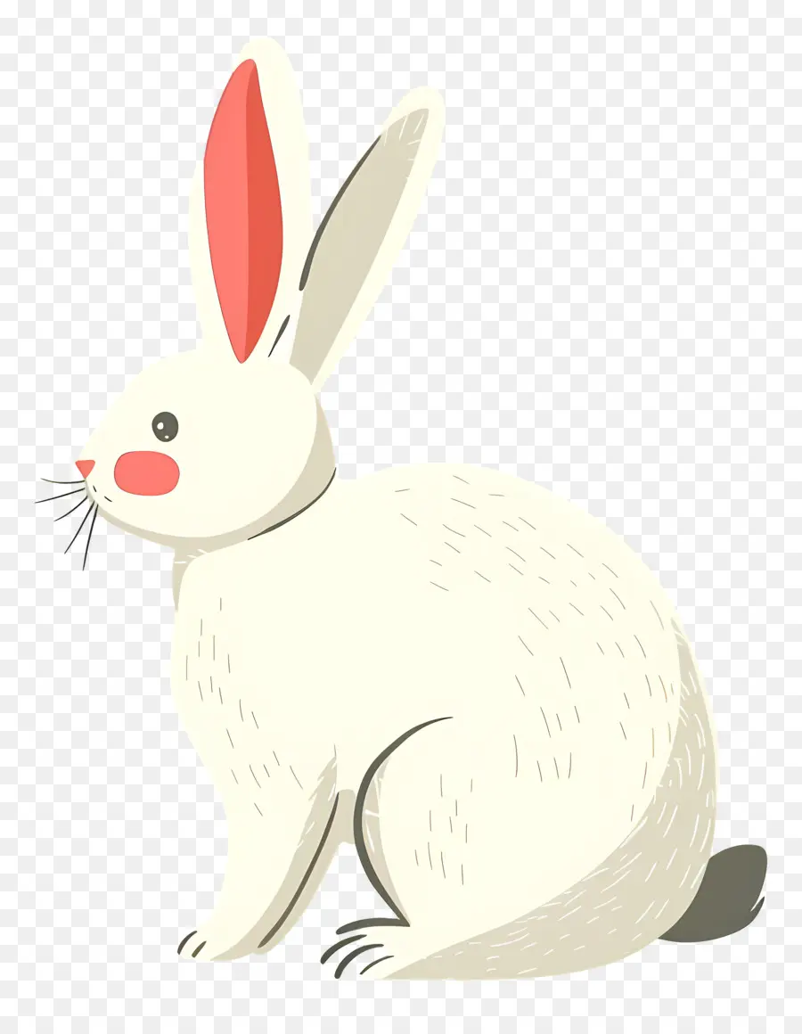 Lapin De Pâques，Lapin Blanc PNG