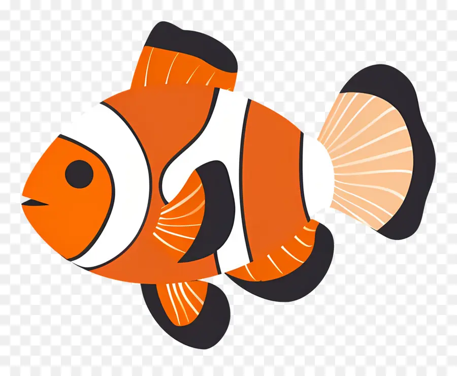 Poisson Clown，Des Poissons Clowns PNG