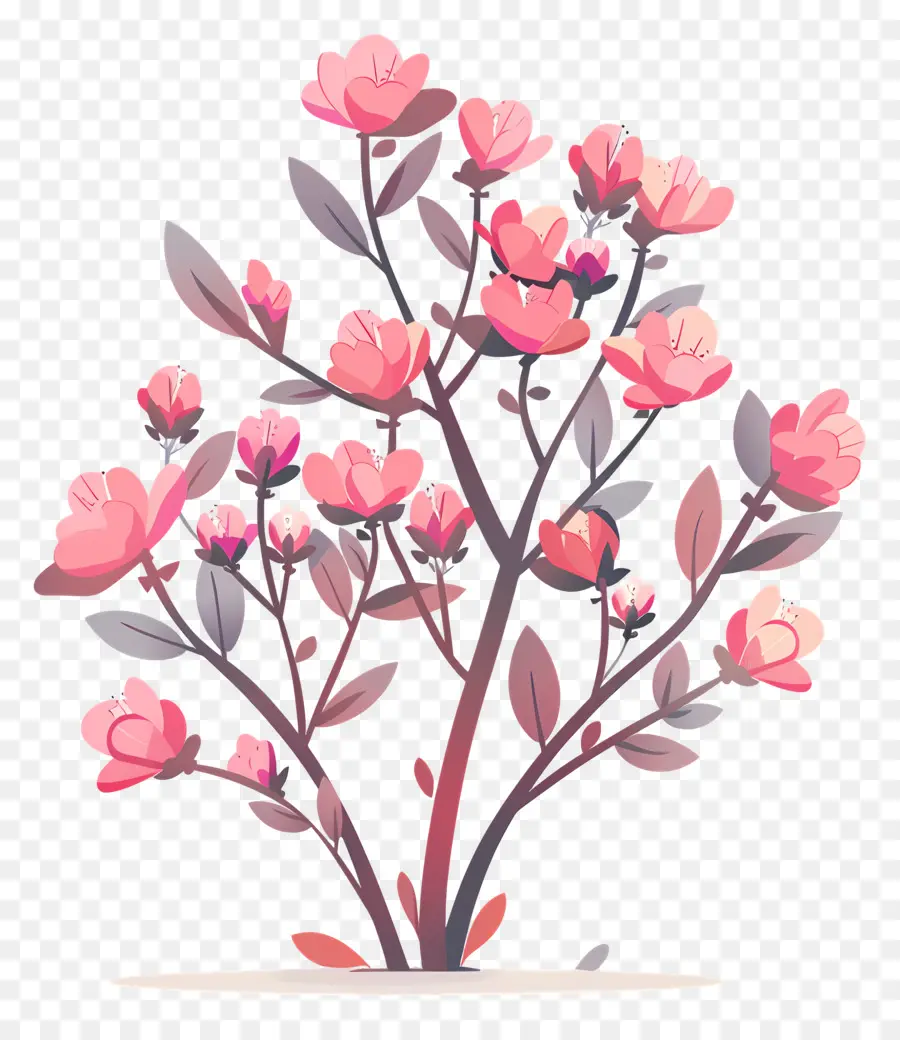 Arbuste à La Floraison，Arbre à Fleurs Roses PNG