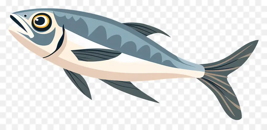 La Sardine，Bluefish PNG