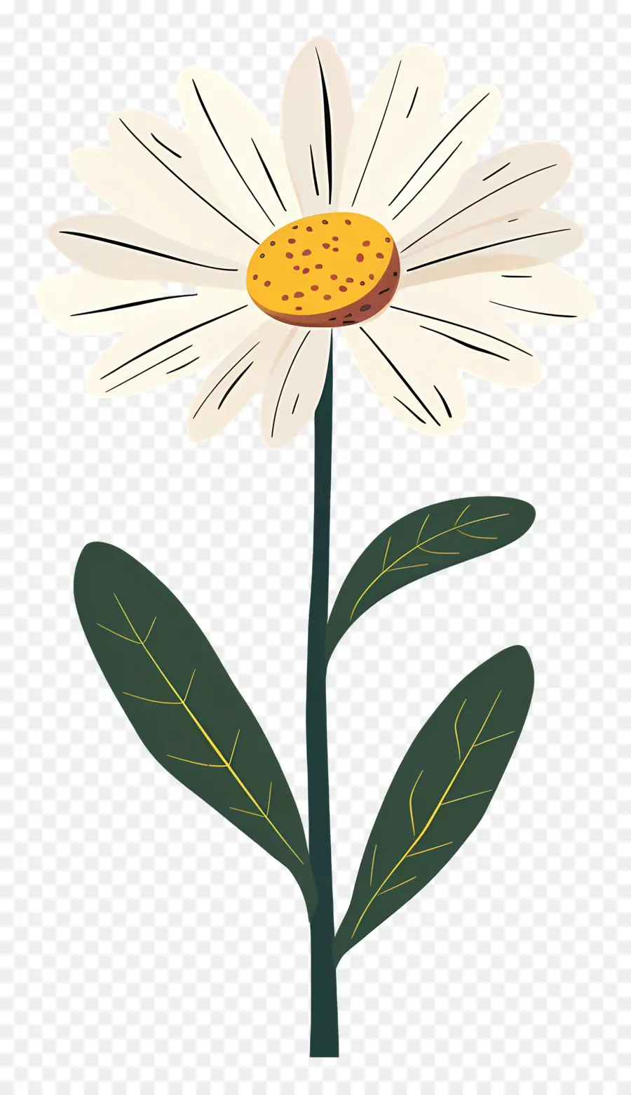 Daisy，Fleur Blanche PNG