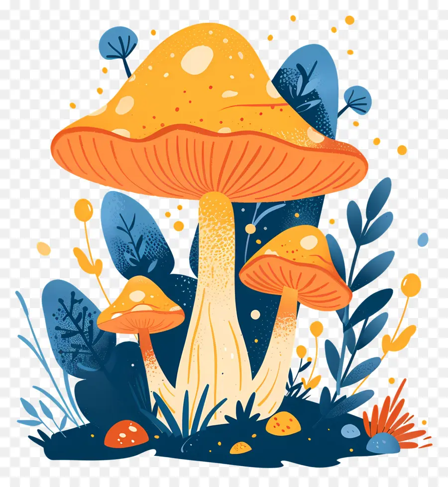 Champignons Fantastiques，Champignons PNG