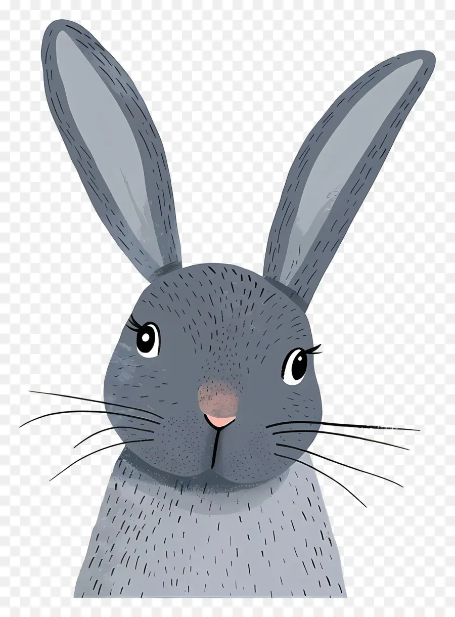 Lapin，Lapin PNG