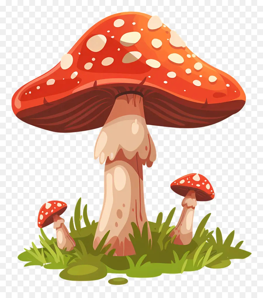 Champignons Fantastiques，Champignons PNG