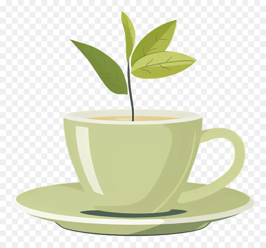 Thé Vert，Tasse à Thé PNG