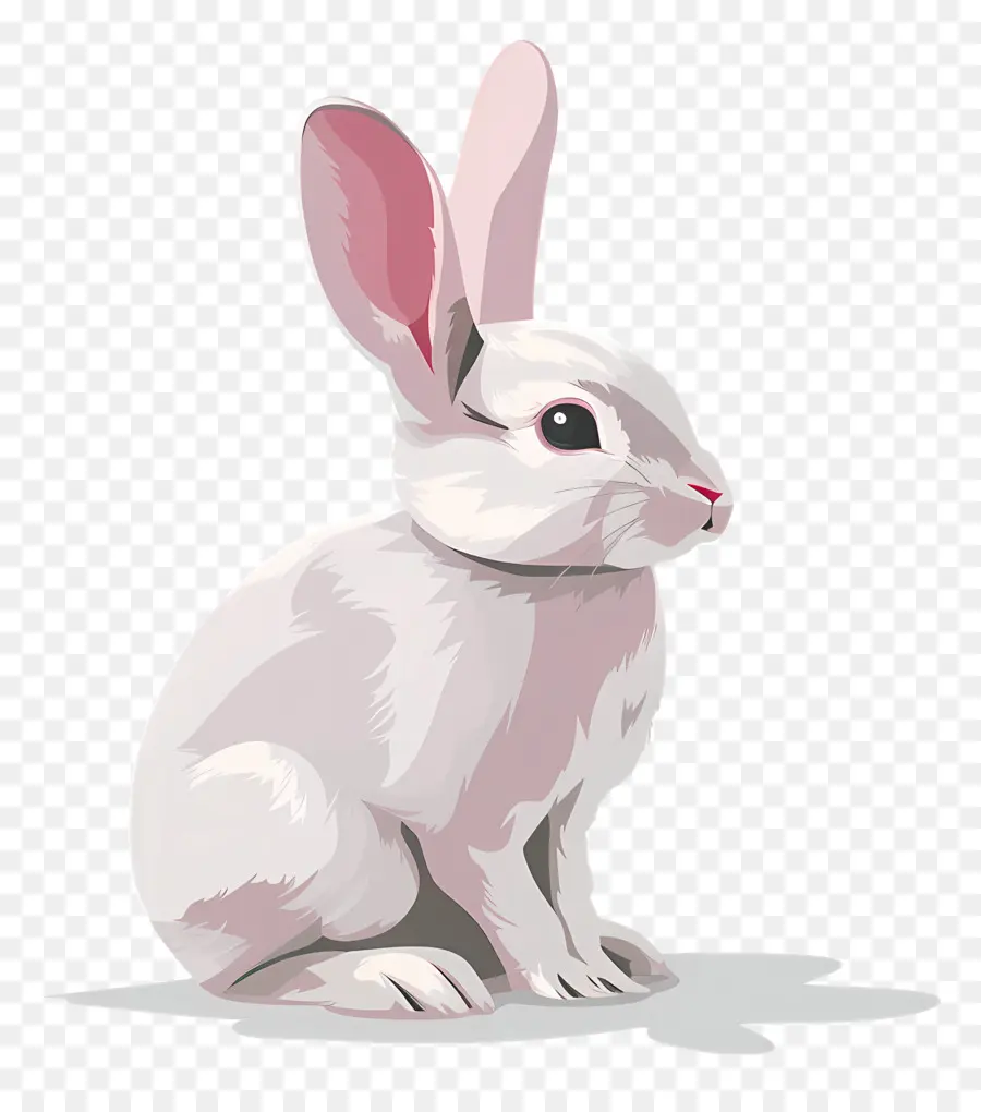 Lapin De Pâques，Lapin Blanc PNG