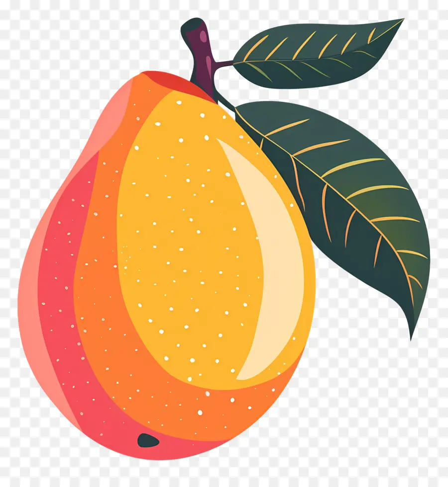 La Mangue，Fruits Orange PNG