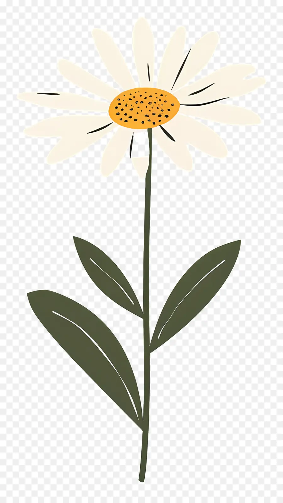 Daisy，Fleur Blanche PNG