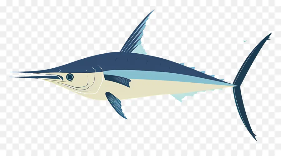 L'espadon，Marlin Poisson PNG