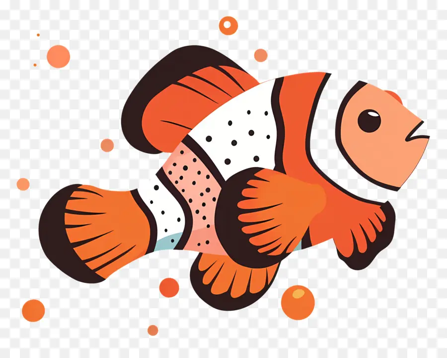 Poisson Clown，Des Poissons Clowns PNG