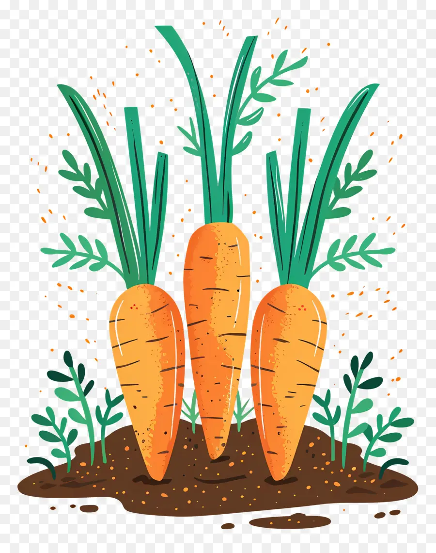 Patch，Les Carottes PNG