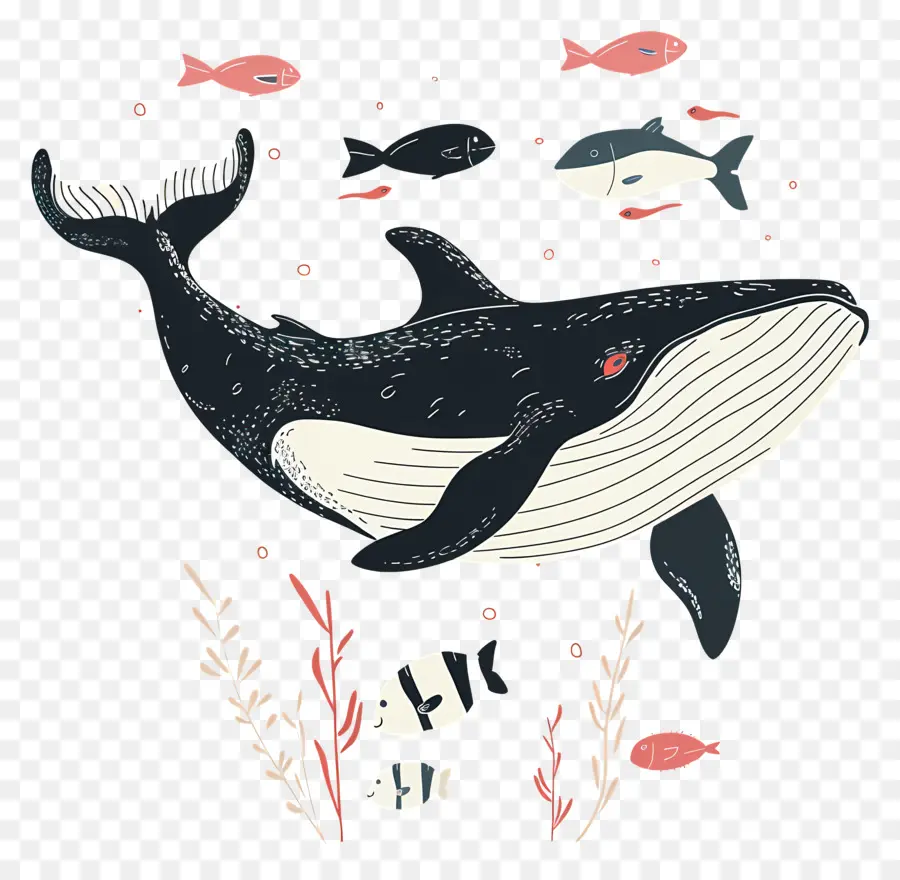 Baleine Et Poisson，Baleine PNG