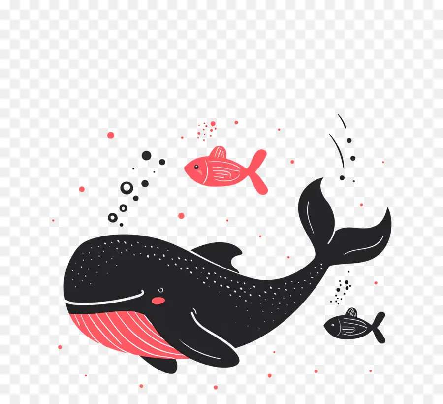 Baleine Et Poisson，Baleine PNG