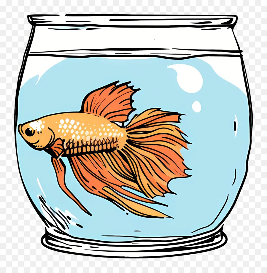 Betta Poissons，Aquarium PNG