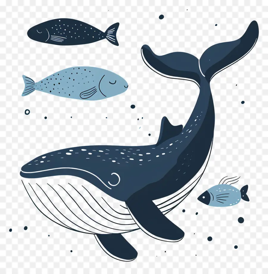 Baleine Et Poisson，Baleine Bleue PNG