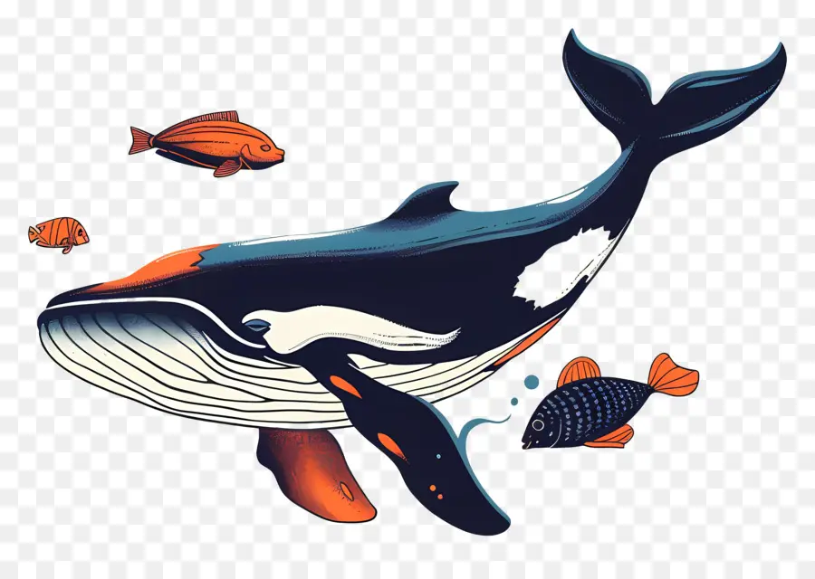 Baleine Et Poisson，Baleine PNG