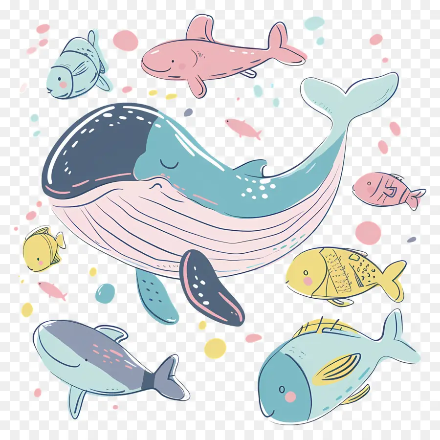 Baleine Et Poisson，Baleine PNG