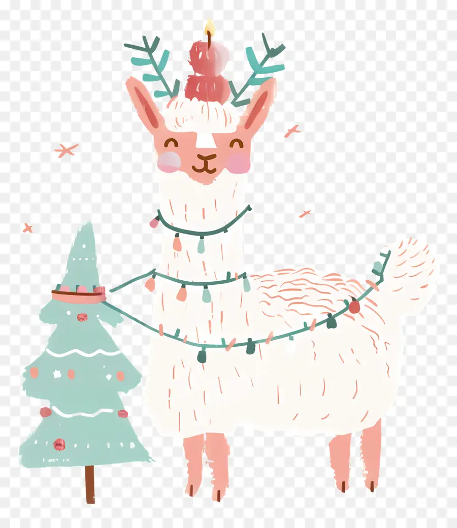 Lama De Noël，Appelé PNG