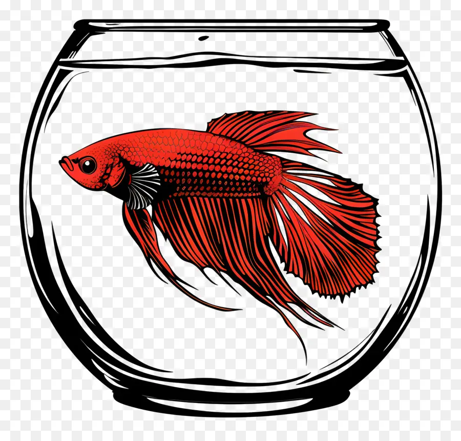 Betta Poissons，Aquarium PNG