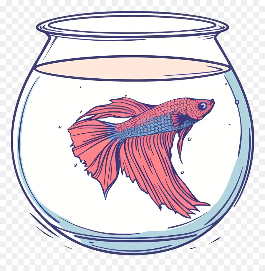 Betta Poissons，Aquarium PNG