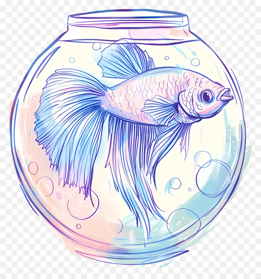 Betta Poissons，Aquarium PNG