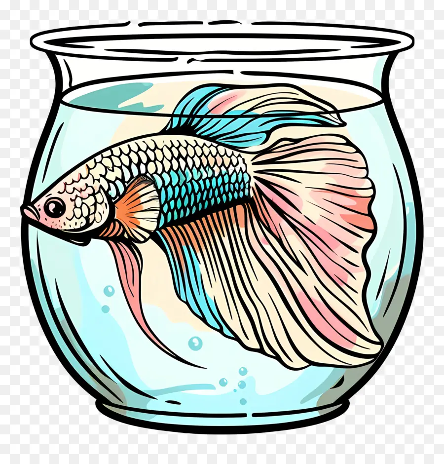 Betta Poissons，Aquarium PNG