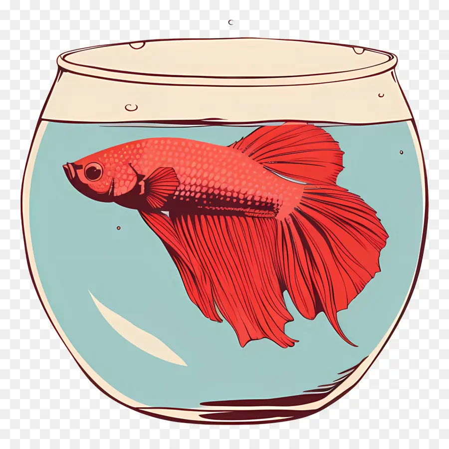 Betta Poissons，Aquarium PNG