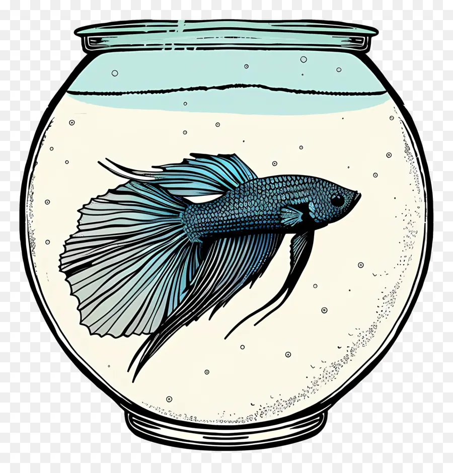 Betta Poissons，Aquarium PNG