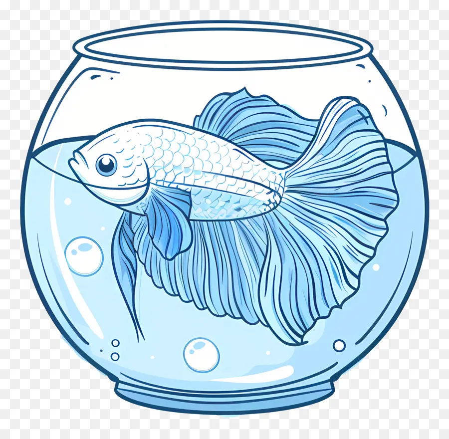 Betta Poissons，Aquarium PNG