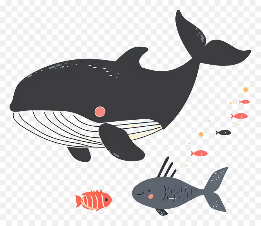 Baleine Et Poisson，Baleine PNG