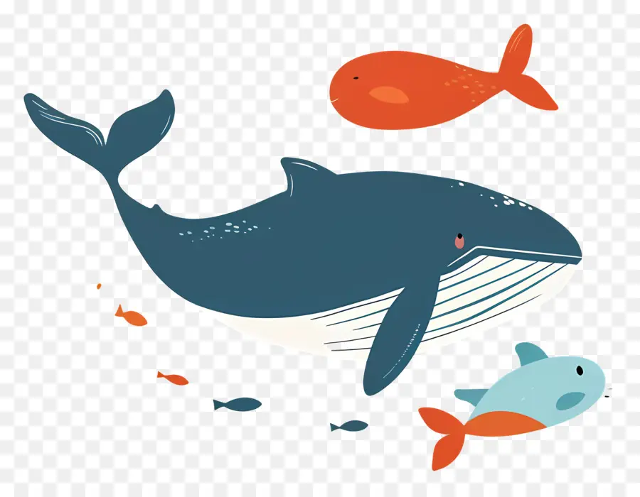 Baleine Et Poisson，Les Baleines PNG