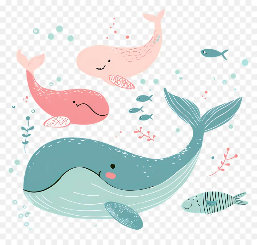 Baleine Et Poisson，Les Baleines PNG