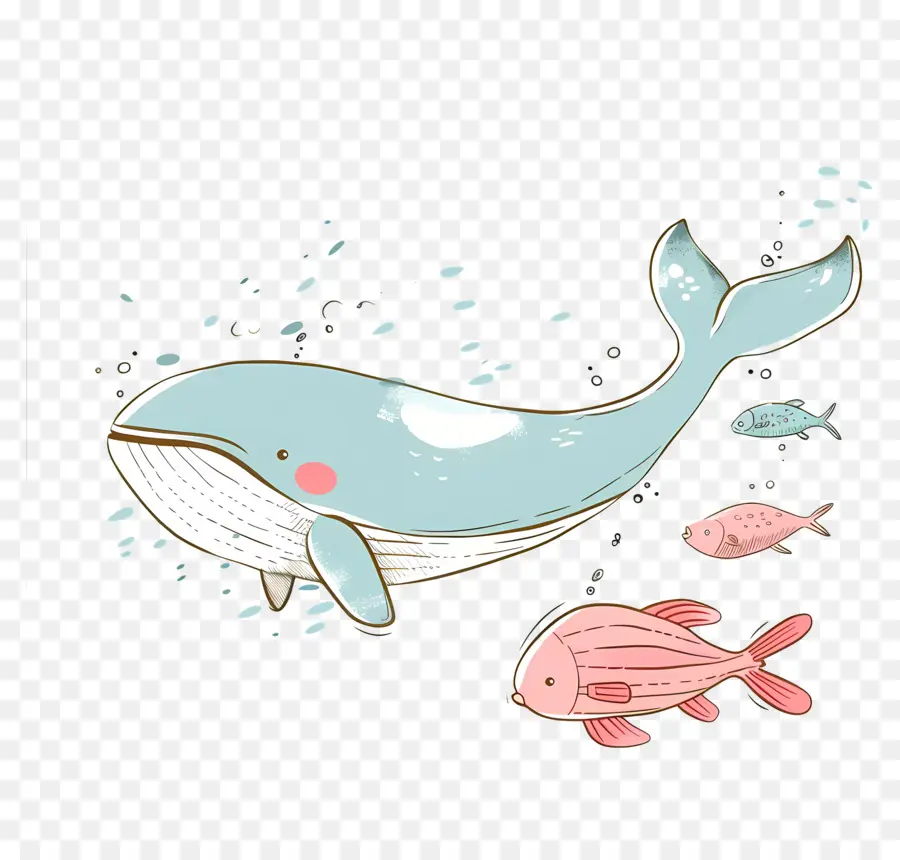 Baleine Et Poisson，Baleine PNG