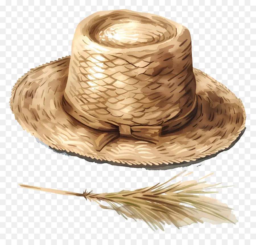 Chapeau De Paille，Plume PNG