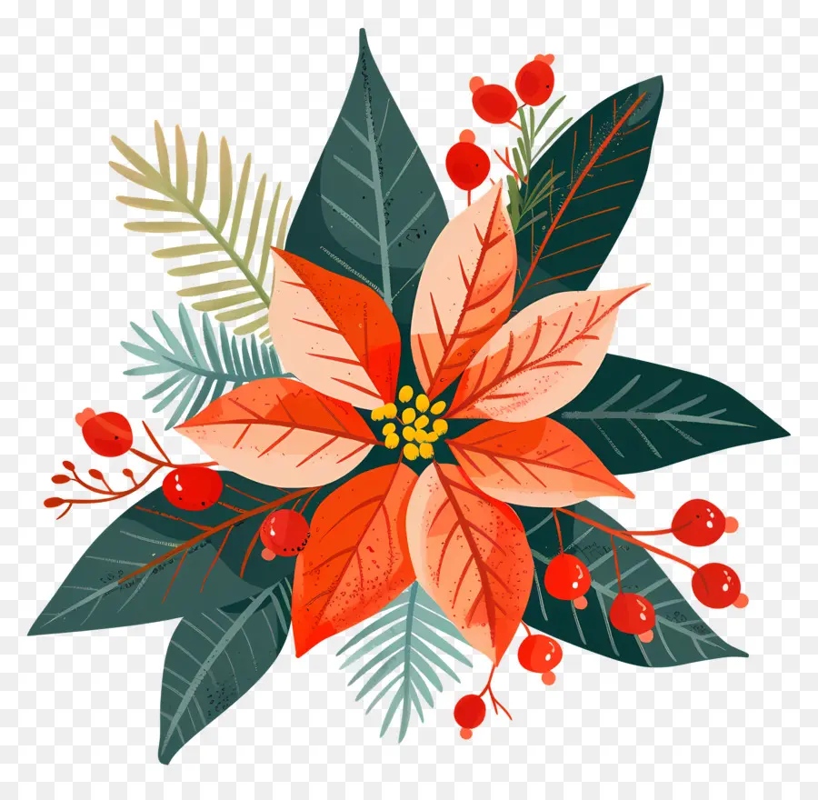 Fleur De Noël，Poinsettia PNG