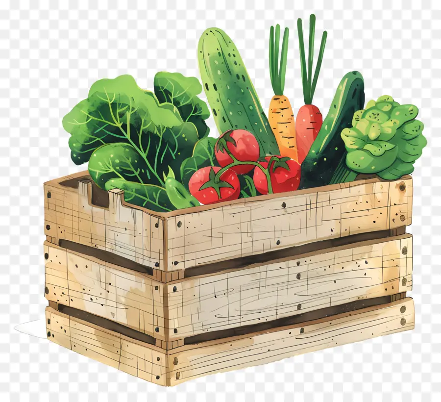 Caisse De Légumes Frais，Légumes Frais PNG