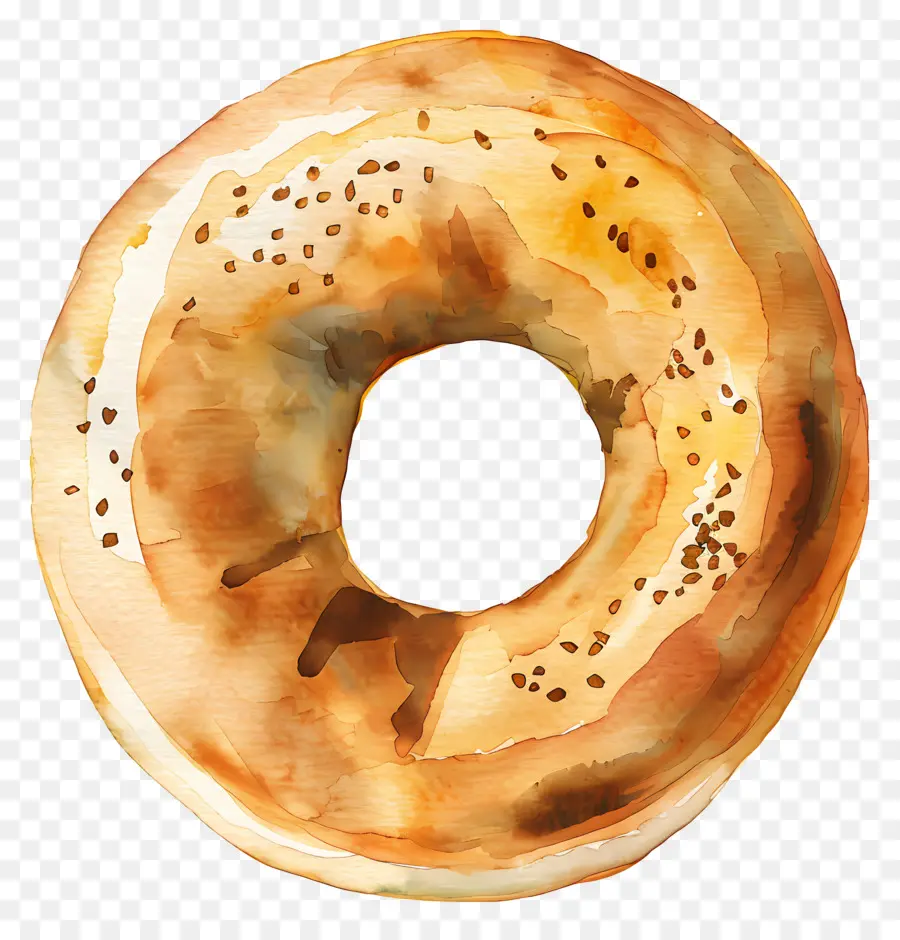 Bagel，Pain PNG