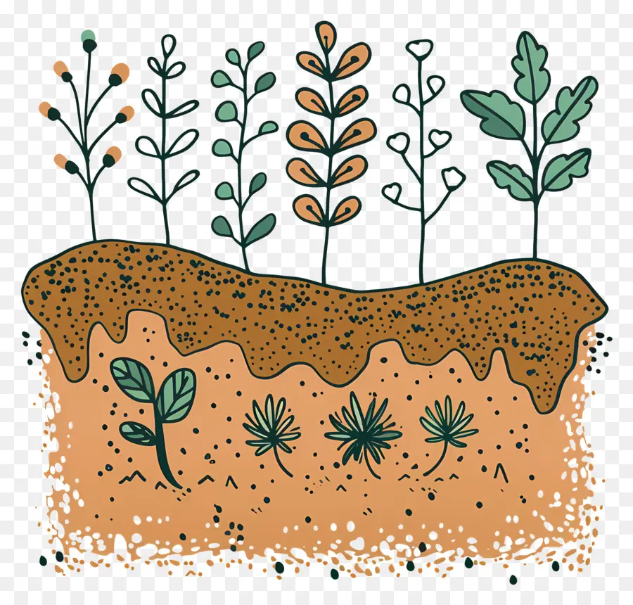 Plantes，Feuilles PNG