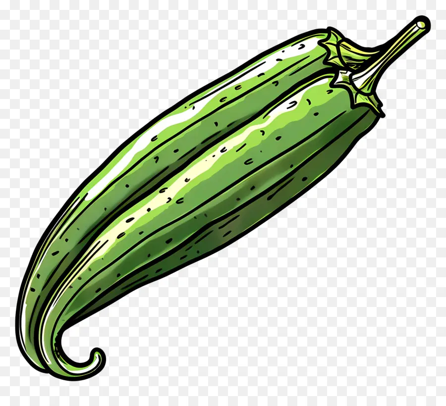 Courgettes，Vert PNG