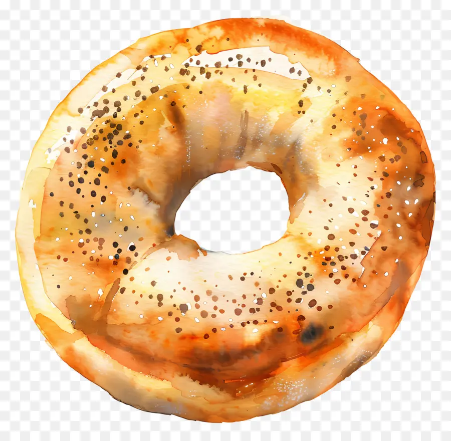 Bagels，Pain PNG